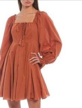 Rust Peasant Tunic Dress with Button Front